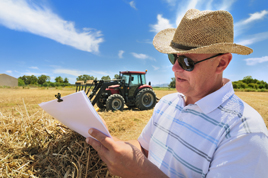 Currculo: Engenheiro Agrnomo