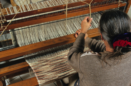 Oferta de Emprego: Operador de Mquinas de Tecer e Tricotar