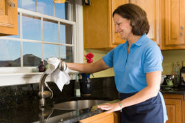 Oferta de Emprego: Trabalhador de Limpeza em Casas Particulares